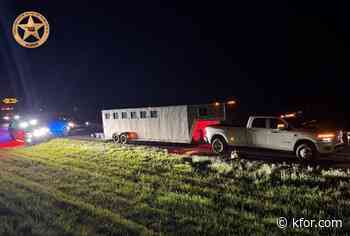 Local rescue saves horses after cocaine bust along I-40