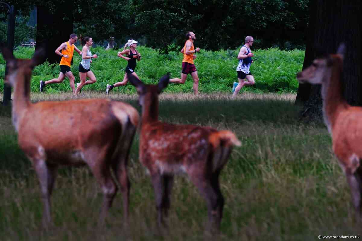 A million events was never in the plan, says parkrun founder as milestone nears