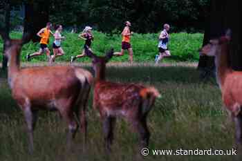 A million events was never in the plan, says parkrun founder as milestone nears