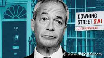 'They'll leak medical records, tax records, they'll bug his phone and leak that...' Why the Establishment will do anything to stop Nigel Farage becoming Prime Minister