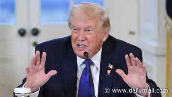 'Peace has never been closer': Mediators hopeful of Iran-US deal...but leak of draft sparks row
