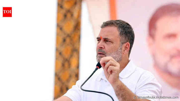 Despite rift, Rahul Gandhi says DMK with opposition on ‘idea of India’