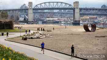 Vancouver's Sunset Beach closed to swimming due to high E. coli levels