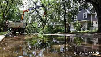 Nearly 9 million litres of sewage dumped into Winnipeg's waterways after storm-related power outages
