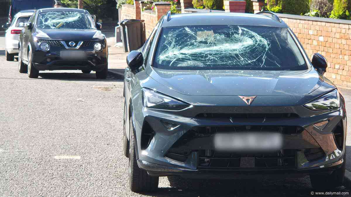 More than 40 parked cars have their windows smashed in with a crowbar before man, 28, is arrested