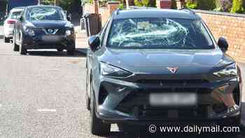 More than 40 parked cars have their windows smashed in with a crowbar before man, 28, is arrested