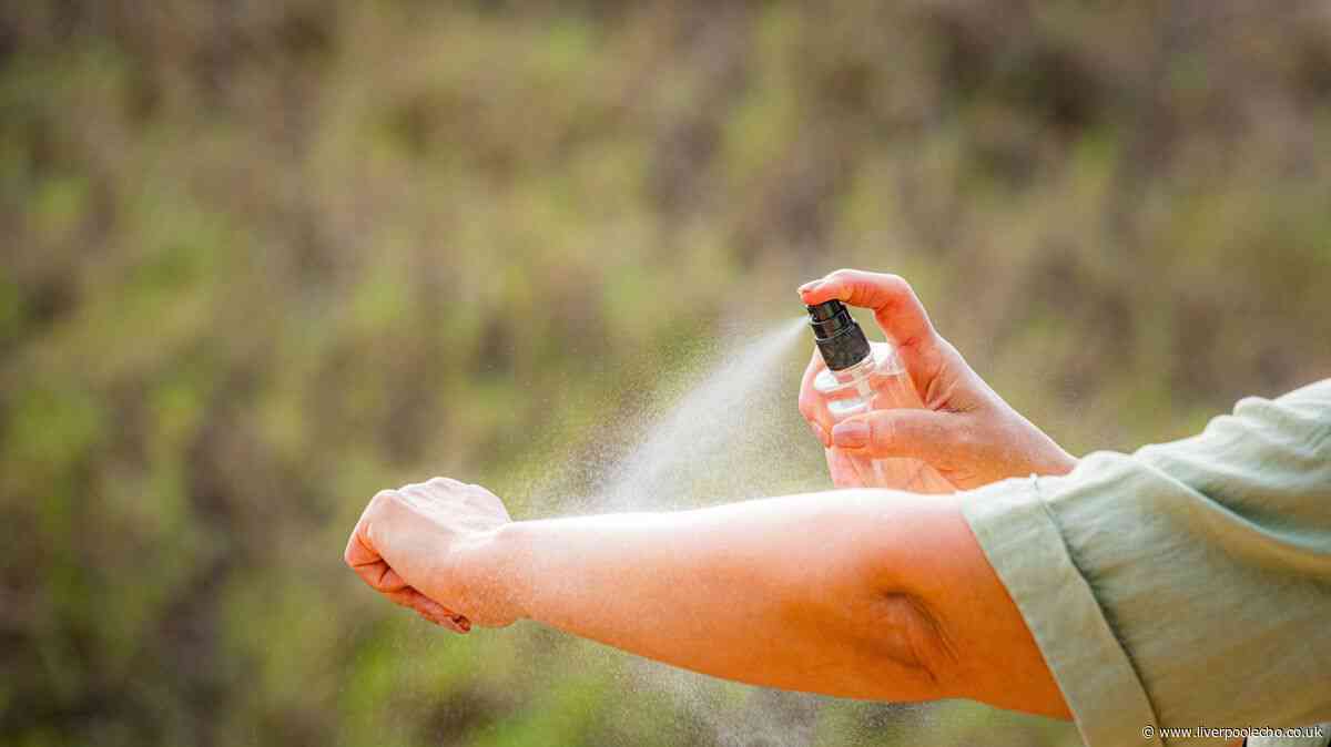 Stop insects biting you with natural scent they hate