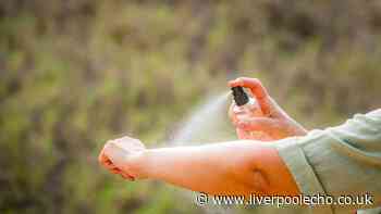 Stop insects biting you with natural scent they hate