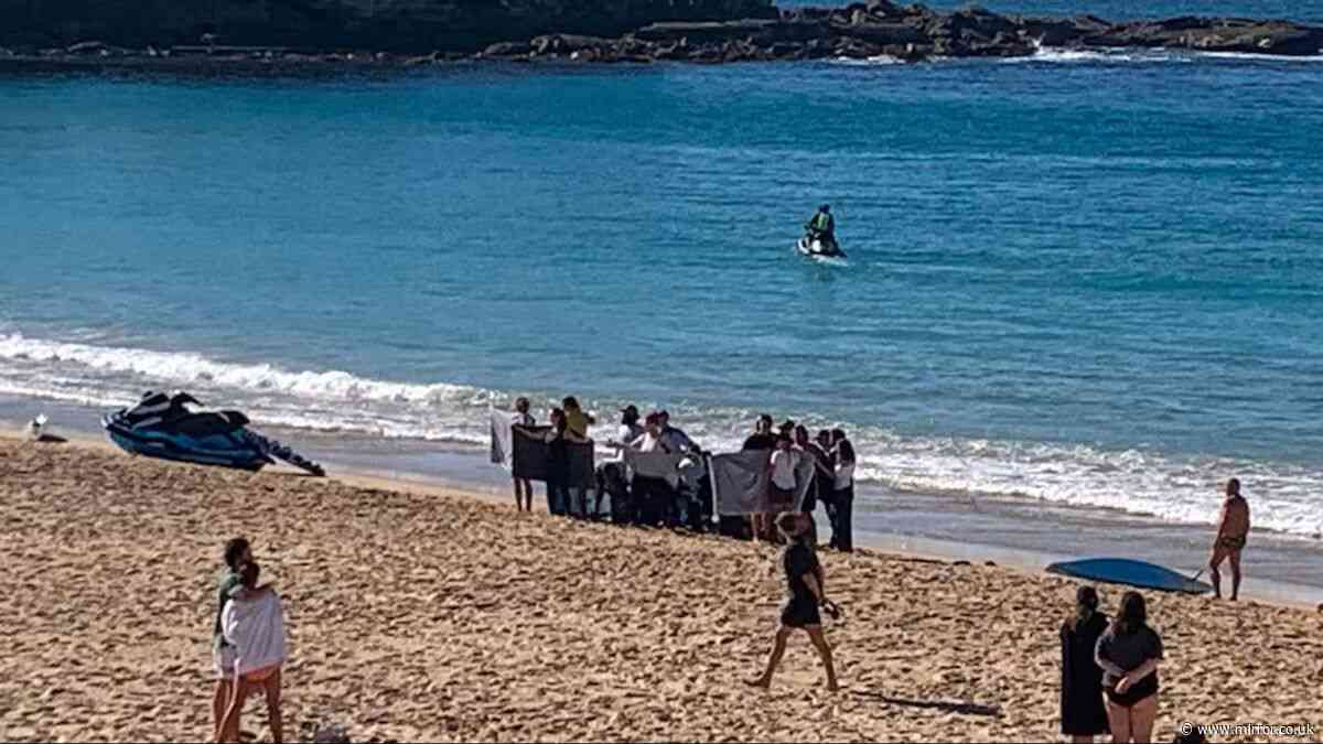 Woman in critical condition after shark attack at popular Sydney beach