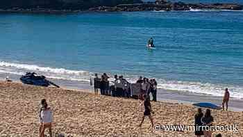 Woman in critical condition after shark attack at popular Sydney beach