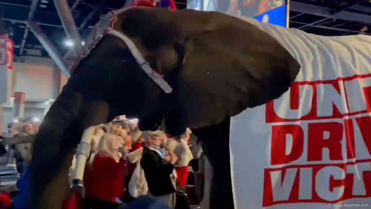 Moment ELEPHANT brought into Texas Republican convention PEES all over the floor after being marched through crowd