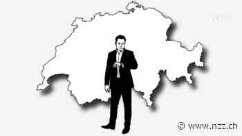 Was könnte sich Elon Musk mit seinem neuen Reichtum kaufen? Eine fiktive Shoppingtour durch die Schweiz