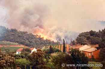 C’était, il y a 40 ans : les flammes ravageaient les Maures durant plus gros incendie à frapper Hyères depuis l’après-guerre