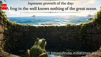 Japanese proverb of the day: "A frog in the well knows nothing of the great ocean"