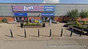 'Charming' B&M £6 item 'gives illuminating glow' to gardens