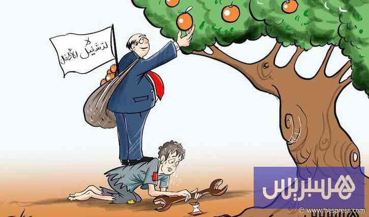 خبراء يدعون إلى تشديد العقوبات والوقاية للحد من تشغيل الأطفال بالمغرب