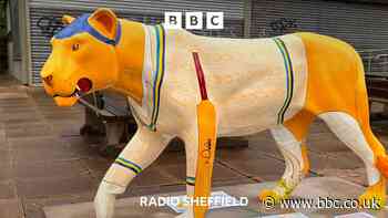 Why are there lions in South Yorks?