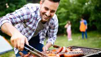 'Best BBQ tools ever' can be picked up for free as World Cup begins