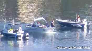 Tragedy as dad's body is found irgent search for missing girl after her dad was found dead and boat spotted adrift on Parramatta River
