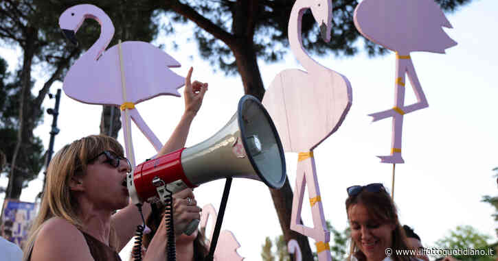 Deforestazione, cemento e la rivoluzione dei fenicotteri: dove sta andando l’Albania?