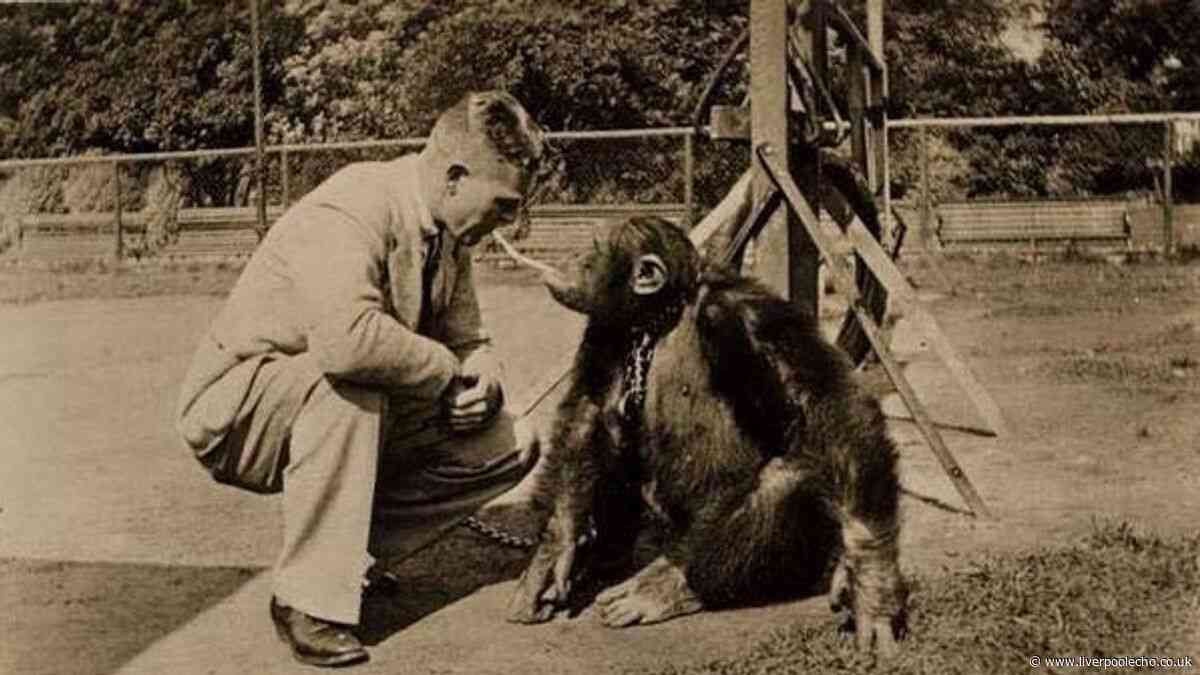 The forgotten Liverpool zoo that was once home to a smoking chimp