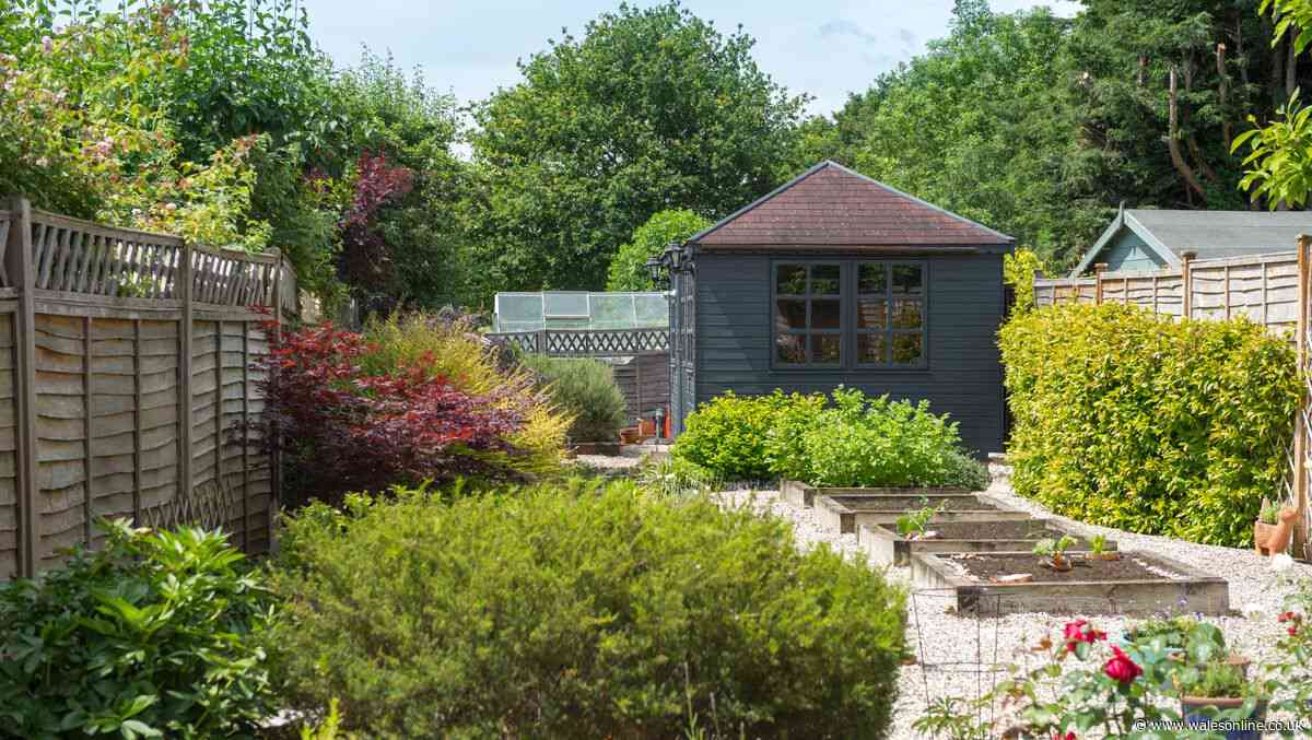 Why a damp June is actually the perfect secret weapon for your garden blooms