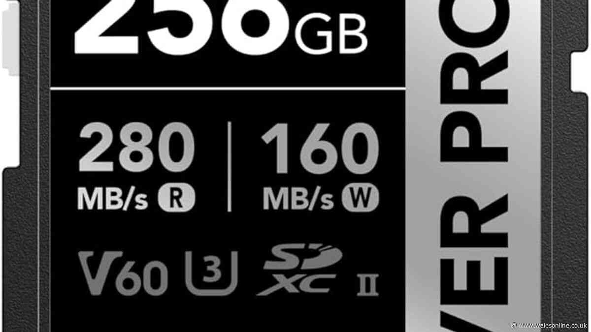 Review: Lexar Silver Pro memory card has rapid speeds - but will it help me take better pictures?