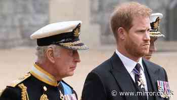 Trooping the Colour 'snubbed' by Prince Harry as King makes major point quite clear