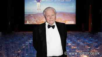 David Attenborough spotted with breakfast good for your brain