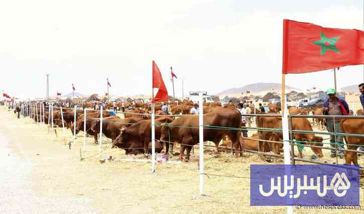 دعم استيراد وتربية المواشي يجرّ الأغلبية والمعارضة إلى مواجهة برلمانية