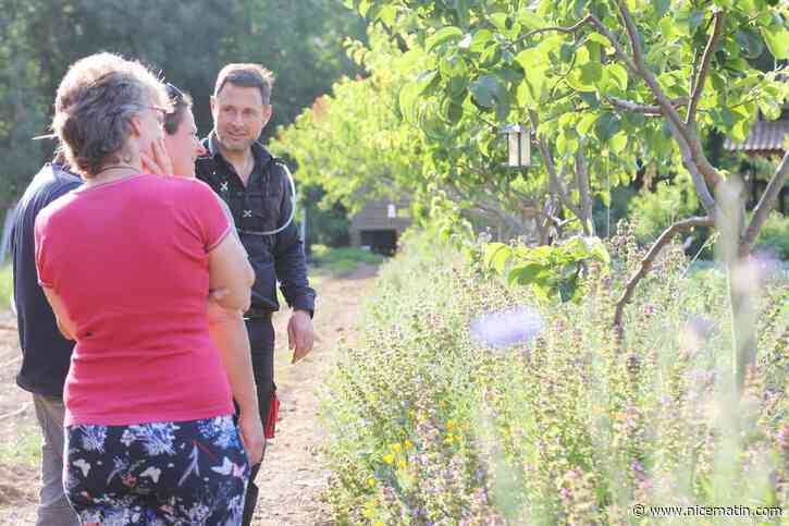 « J’ai essayé de mimiquer la nature » : cette exploitation agricole près de Brignoles n’utilise ni produits chimiques ni labour