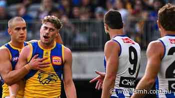 AFL LIVE: ‘Dumbest play of the year’ embarrasses Roos against Eagles; Solomon’s dire warning for the Bombers