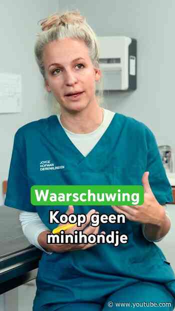 WAARSCHUWING: koop geen minihondje