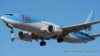 People with one type of job can get £200 off TUI breaks - full list