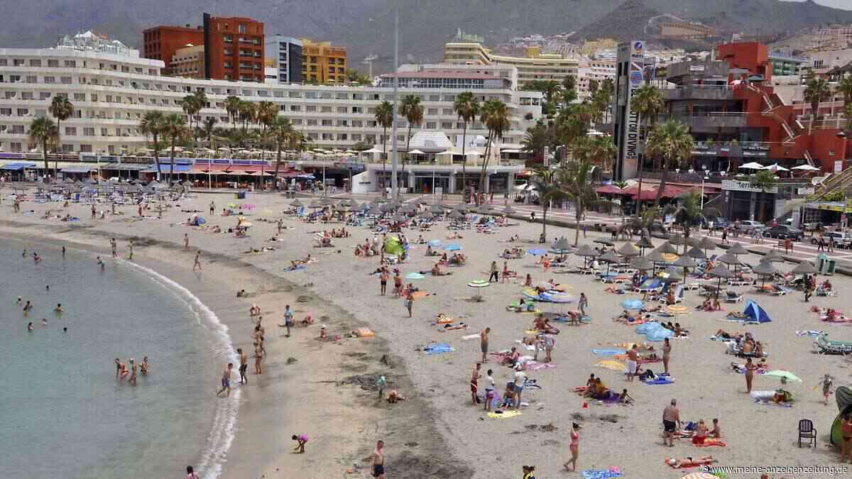 Kanaren in Aufruhr: Erst Strand dicht, jetzt die Killer-Hornisse