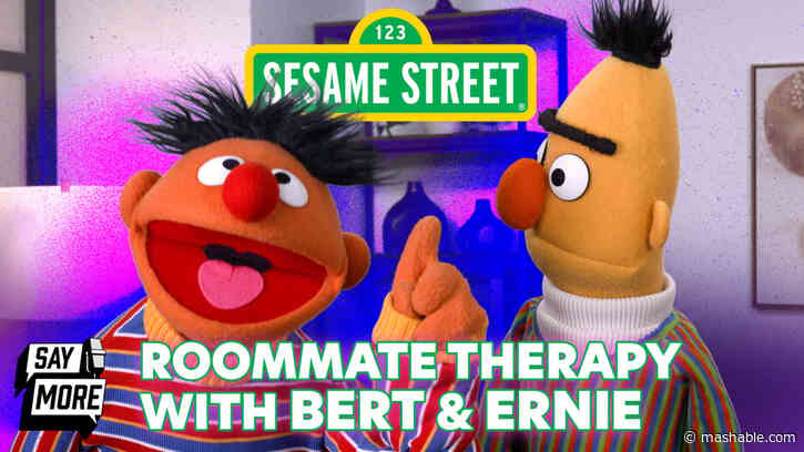 Roommate Therapy with Sesame Streets Bert and Ernie