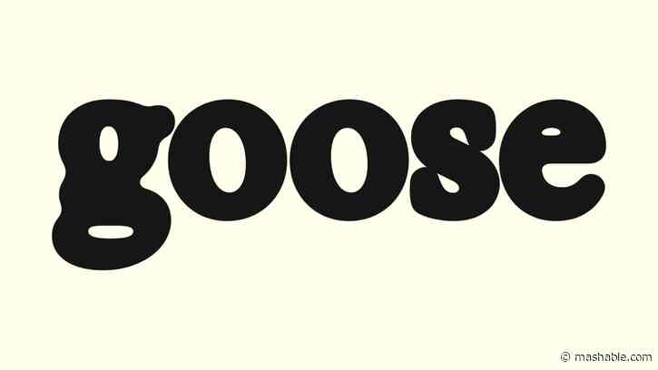 New, anti-algorithm gay dating app Goose is coming