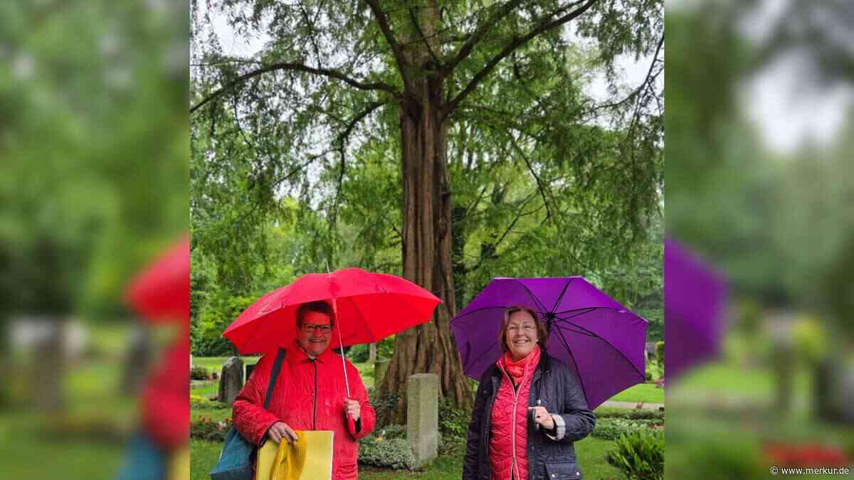 Ein Friedhof feiert 70. Geburtstag – und birgt über 100 Jahre alte Bäume