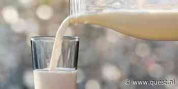 Lactose-intolerant maar toch melk drinken: is de online geroemde ‘A2-melk’ de oplossing?