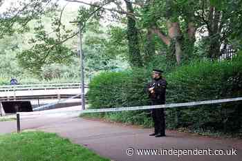 Three teenagers arrested on suspicion of murdering man in park in Essex