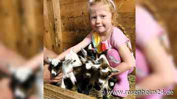 Sensation bei Teisendorf: Bergziege überrascht Familie Schmid mit gesunden Fünflingen