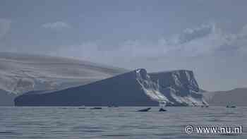 Recordtemperatuur tijdens winter op Antarctica: 20 graden warmer dan gemiddeld