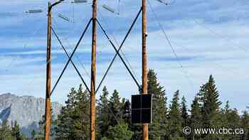 AI cameras being piloted to detect wildfires in Kananaskis