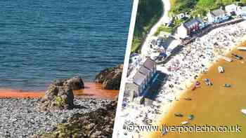 Sea turns orange and brown on two north Wales beaches and it's not pollution