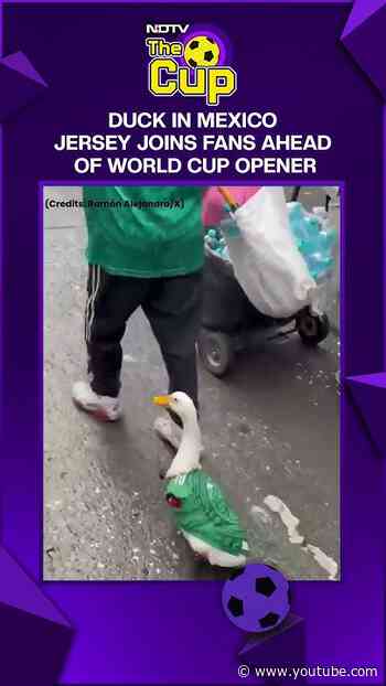 FIFA 2026 | Viral Duck In Mexico Jersey Steals The Show As Fans Celebrate FIFA World Cup Kickoff