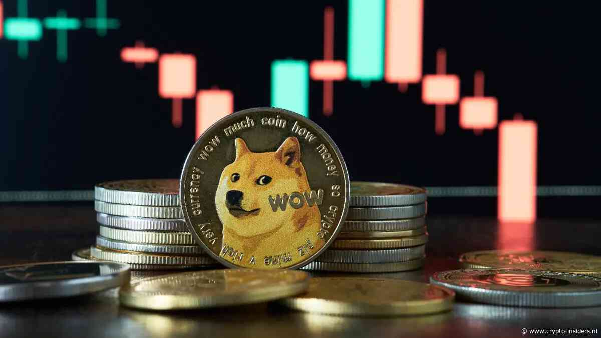 Dogecoin nadert belangrijk steunniveau na jarenlange daling