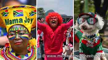 Die schönsten und skurrilsten Fan-Bilder der WM 2026