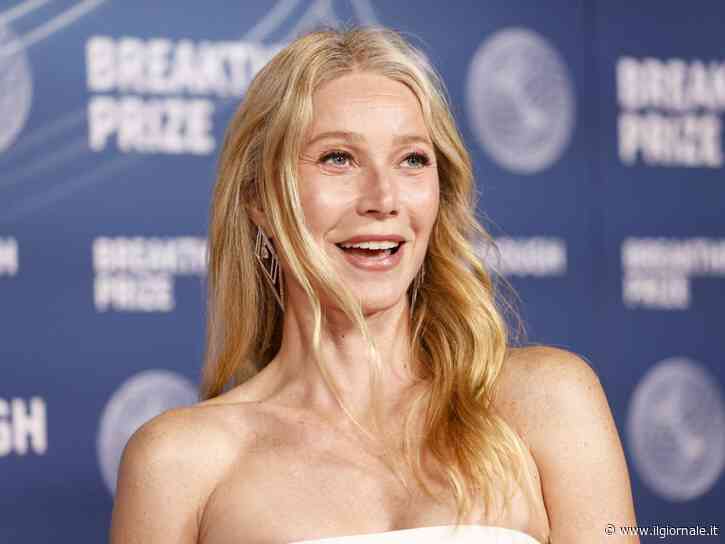 Gwyneth Paltrow insultata per i grattacieli di lusso