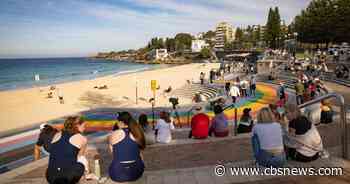 Lifeguard helps save woman critically injured in Australia shark attack