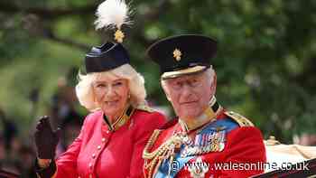 King Charles’s furious remark to Queen Camilla spotted by lip reader during royal procession